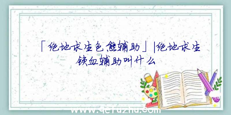 「绝地求生色熊辅助」|绝地求生锁血辅助叫什么